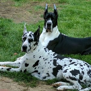 Meet your Posher, Kami